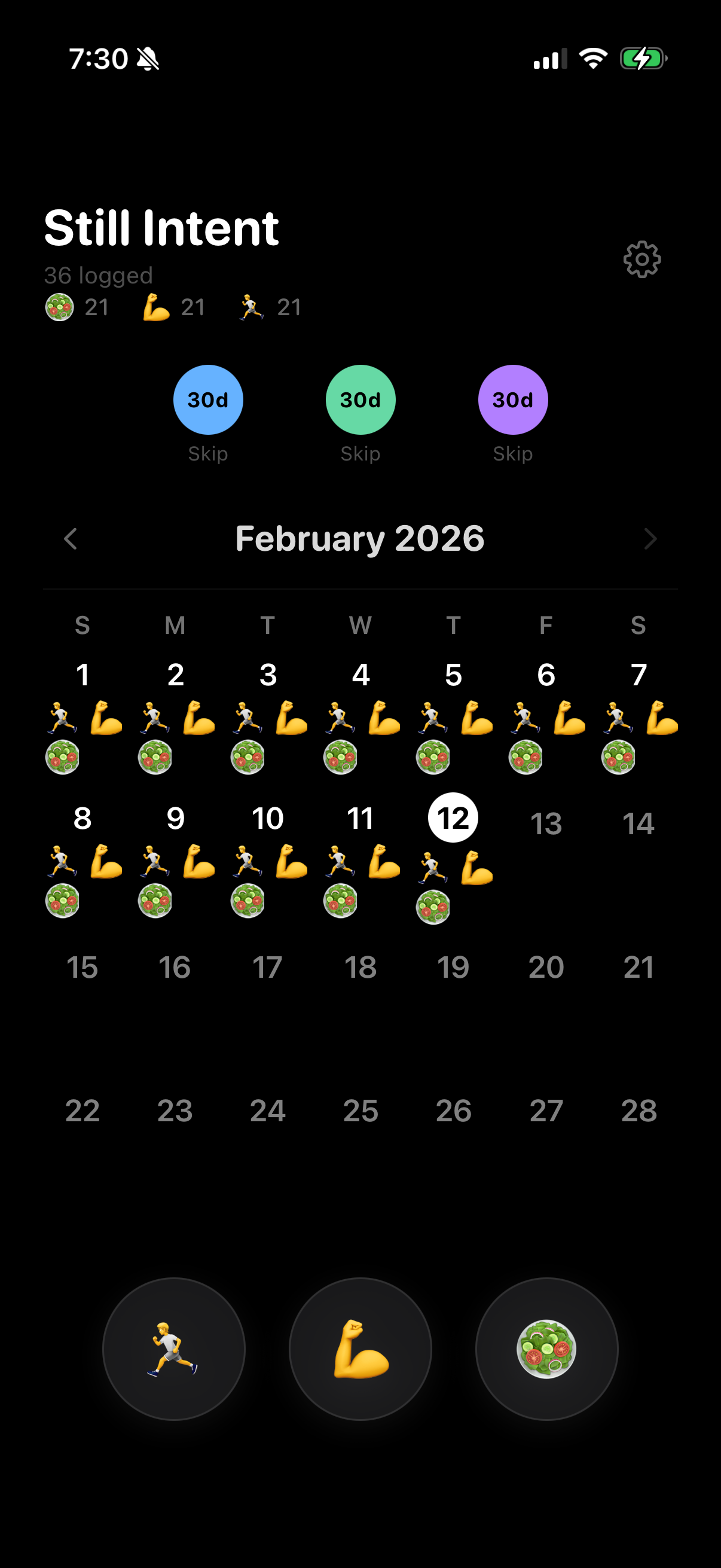Still Intent - calendar view with tracked habits